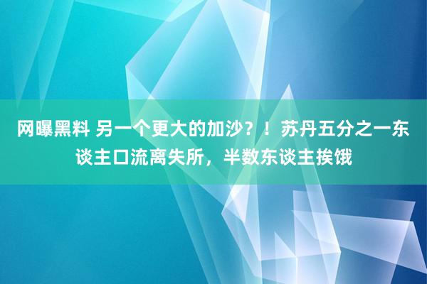 网曝黑料 另一个更大的加沙？！苏丹五分之一东谈主口流离失所，半数东谈主挨饿