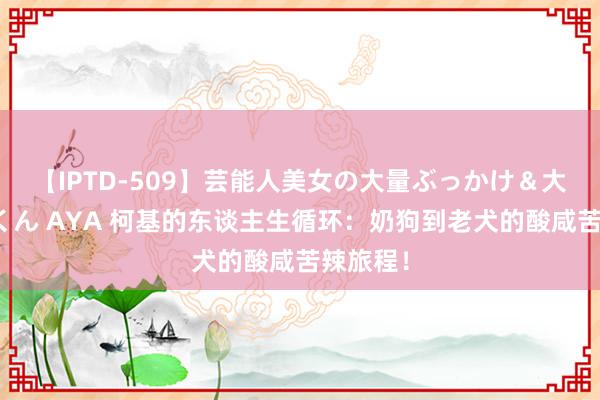 【IPTD-509】芸能人美女の大量ぶっかけ＆大量ごっくん AYA 柯基的东谈主生循环：奶狗到老犬的酸咸苦辣旅程！