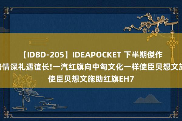 【IDBD-205】IDEAPOCKET 下半期傑作集2009 丝路情深礼遇谊长!一汽红旗向中匈文化一样使臣贝想文施助红旗EH7