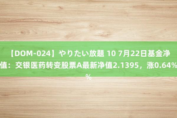 【DOM-024】やりたい放題 10 7月22日基金净值：交银医药转变股票A最新净值2.1395，涨0.64%