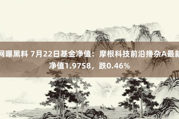 网曝黑料 7月22日基金净值：摩根科技前沿搀杂A最新净值1.9758，跌0.46%