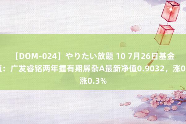 【DOM-024】やりたい放題 10 7月26日基金净值：广发睿铭两年握有期羼杂A最新净值0.9032，涨0.3%