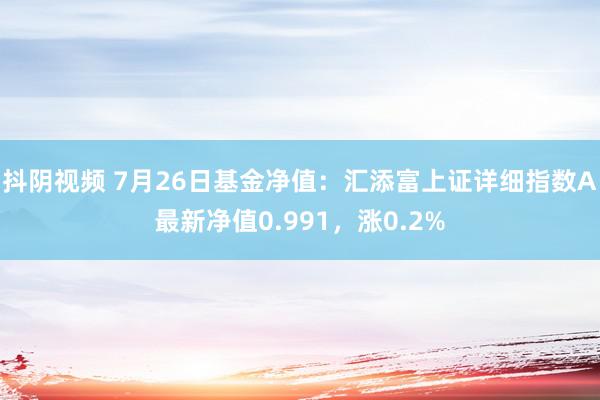 抖阴视频 7月26日基金净值：汇添富上证详细指数A最新净值0.991，涨0.2%