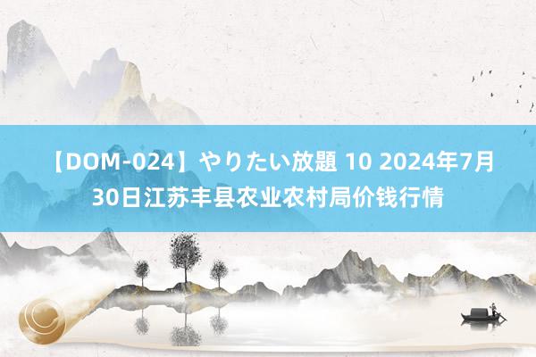 【DOM-024】やりたい放題 10 2024年7月30日江苏丰县农业农村局价钱行情