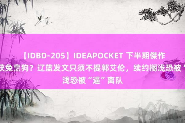 【IDBD-205】IDEAPOCKET 下半期傑作集2009 获兔烹狗？辽篮发文只须不提郭艾伦，续约搁浅恐被“逼”离队