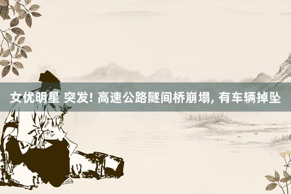 女优明星 突发! 高速公路隧间桥崩塌, 有车辆掉坠