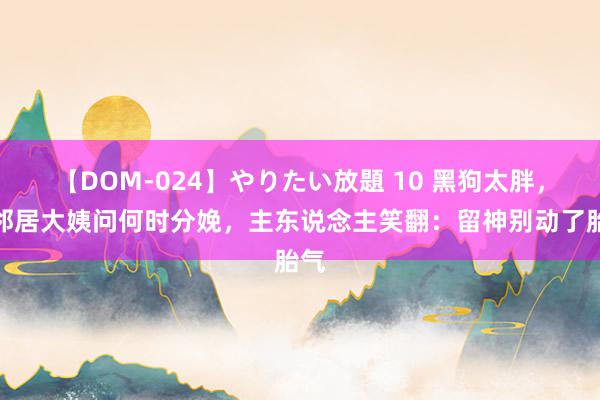 【DOM-024】やりたい放題 10 黑狗太胖，被邻居大姨问何时分娩，主东说念主笑翻：留神别动了胎气