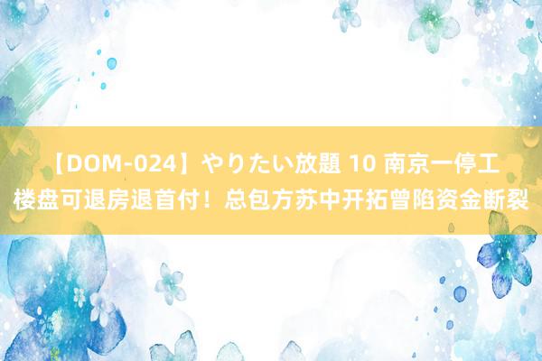 【DOM-024】やりたい放題 10 南京一停工楼盘可退房退首付！总包方苏中开拓曾陷资金断裂