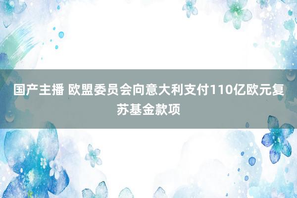 国产主播 欧盟委员会向意大利支付110亿欧元复苏基金款项