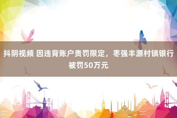 抖阴视频 因违背账户责罚限定，枣强丰源村镇银行被罚50万元