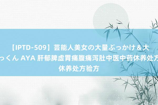 【IPTD-509】芸能人美女の大量ぶっかけ＆大量ごっくん AYA 肝郁脾虚胃痛腹痛泻肚中医中药休养处方验方