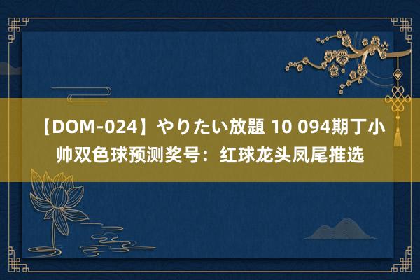 【DOM-024】やりたい放題 10 094期丁小帅双色球预测奖号：红球龙头凤尾推选