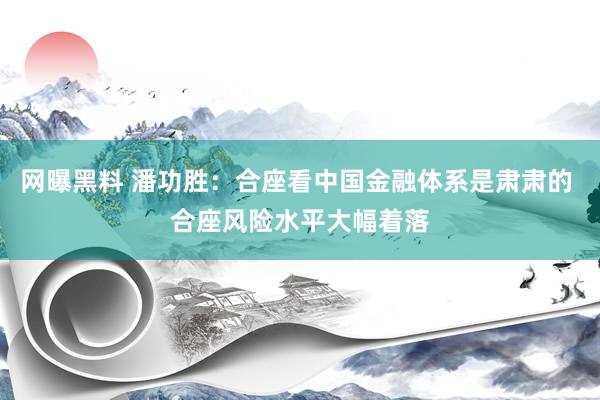 网曝黑料 潘功胜：合座看中国金融体系是肃肃的 合座风险水平大幅着落