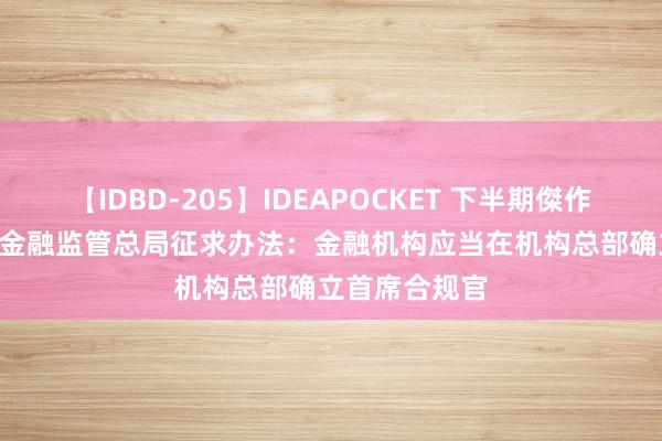 【IDBD-205】IDEAPOCKET 下半期傑作集2009 国度金融监管总局征求办法：金融机构应当在机构总部确立首席合规官