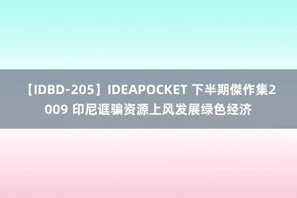 【IDBD-205】IDEAPOCKET 下半期傑作集2009 印尼诓骗资源上风发展绿色经济