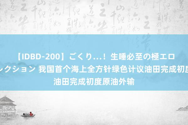 【IDBD-200】ごくり…！生唾必至の極エロボディセレクション 我国首个海上全方针绿色计议油田完成初度原油外输