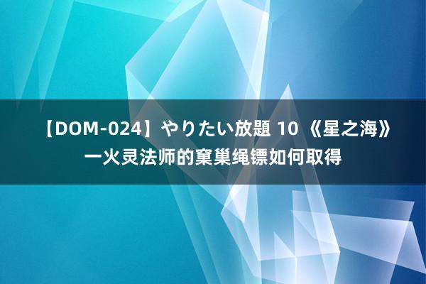 【DOM-024】やりたい放題 10 《星之海》一火灵法师的窠巢绳镖如何取得