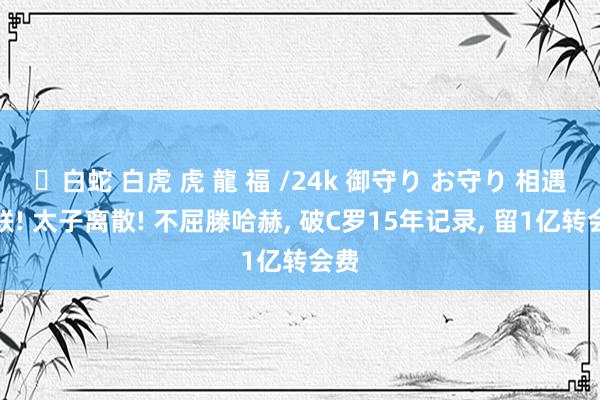 ✨白蛇 白虎 虎 龍 福 /24k 御守り お守り 相遇曼联! 太子离散! 不屈滕哈赫, 破C罗15年记录, 留1亿转会费