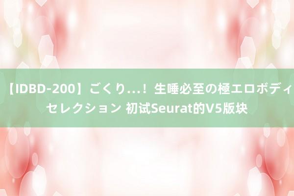 【IDBD-200】ごくり…！生唾必至の極エロボディセレクション 初试Seurat的V5版块