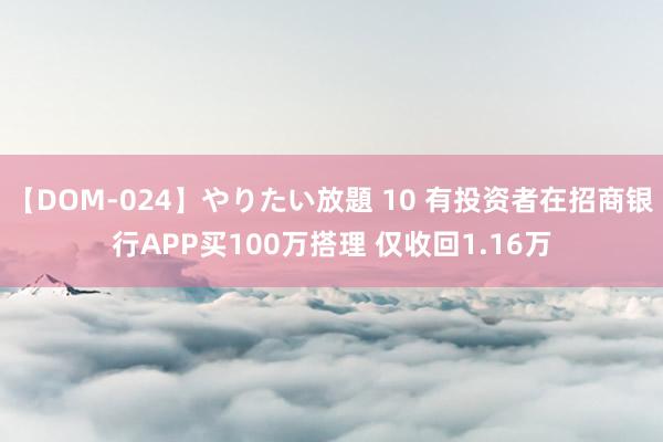 【DOM-024】やりたい放題 10 有投资者在招商银行APP买100万搭理 仅收回1.16万