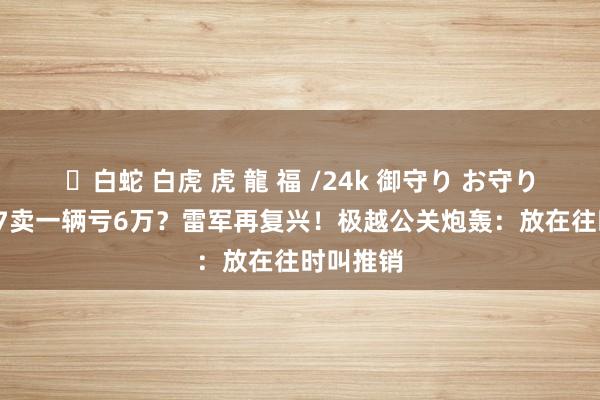 ✨白蛇 白虎 虎 龍 福 /24k 御守り お守り 小米SU7卖一辆亏6万？雷军再复兴！极越公关炮轰：放在往时叫推销