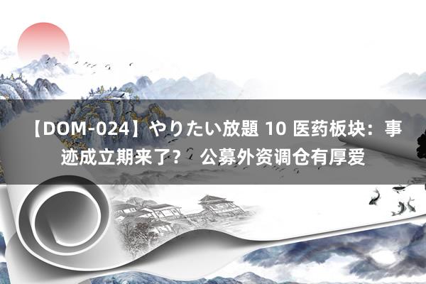 【DOM-024】やりたい放題 10 医药板块：事迹成立期来了？  公募外资调仓有厚爱