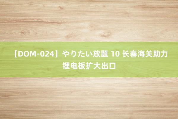 【DOM-024】やりたい放題 10 长春海关助力锂电板扩大出口