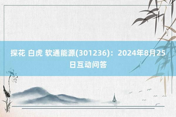 探花 白虎 软通能源(301236)：2024年8月25日互动问答